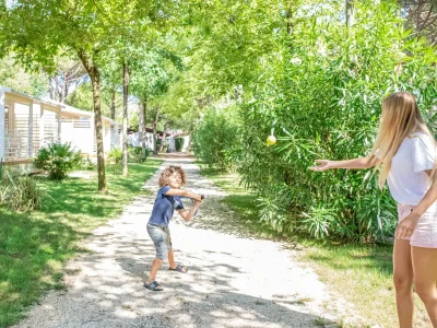 Mobile home Maxi Caravan S 5 New - Outdoor photo 3