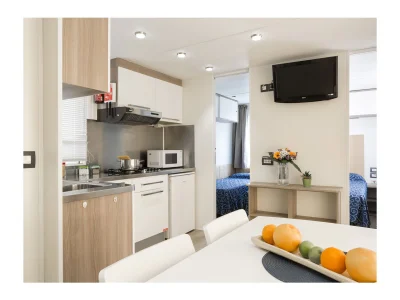 Mobile home Maxi Caravan Chalet Deluxe - Features photo 3