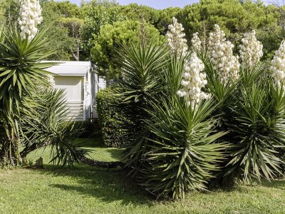 Mobile home Maxi Caravan Gold Bellevue Beach - Environment photo 11