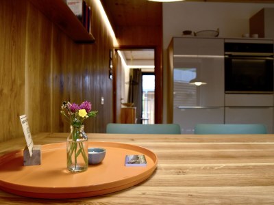 Holiday house Villa Elfer - Features photo 11