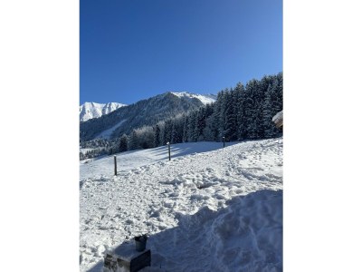 Holiday house Villa Heuberg - Outdoor photo 13