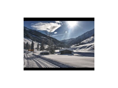 Holiday apartment Cornelia's Holiday Apartment - Environment photo 16