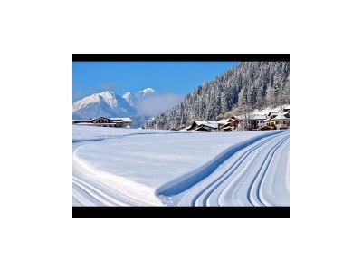 Holiday apartment Cornelia's Holiday Apartment - Environment photo 17