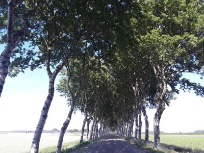 Holiday house Holiday Home in Zeeland Family-Friendly - Environment photo 22