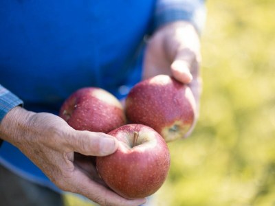 Holiday apartment No title - Environment photo 24