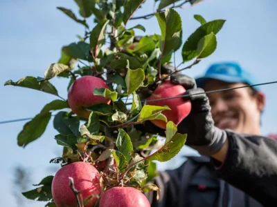 Holiday apartment No title - Environment photo 25