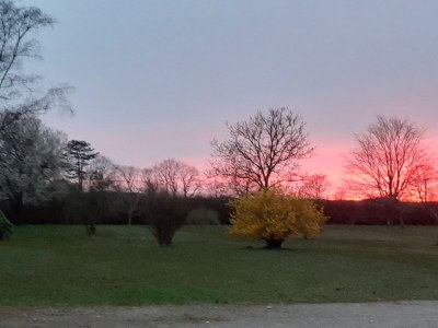 Holiday apartment Zauberfaden 1 - Environment photo 23