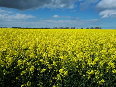 Holiday apartment Zauberfaden 1 - Environment photo 27