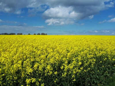 Holiday apartment Zauberfaden 2 - Environment photo 19