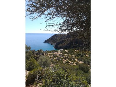 Holiday house Sia Elafonisi - Environment photo 27