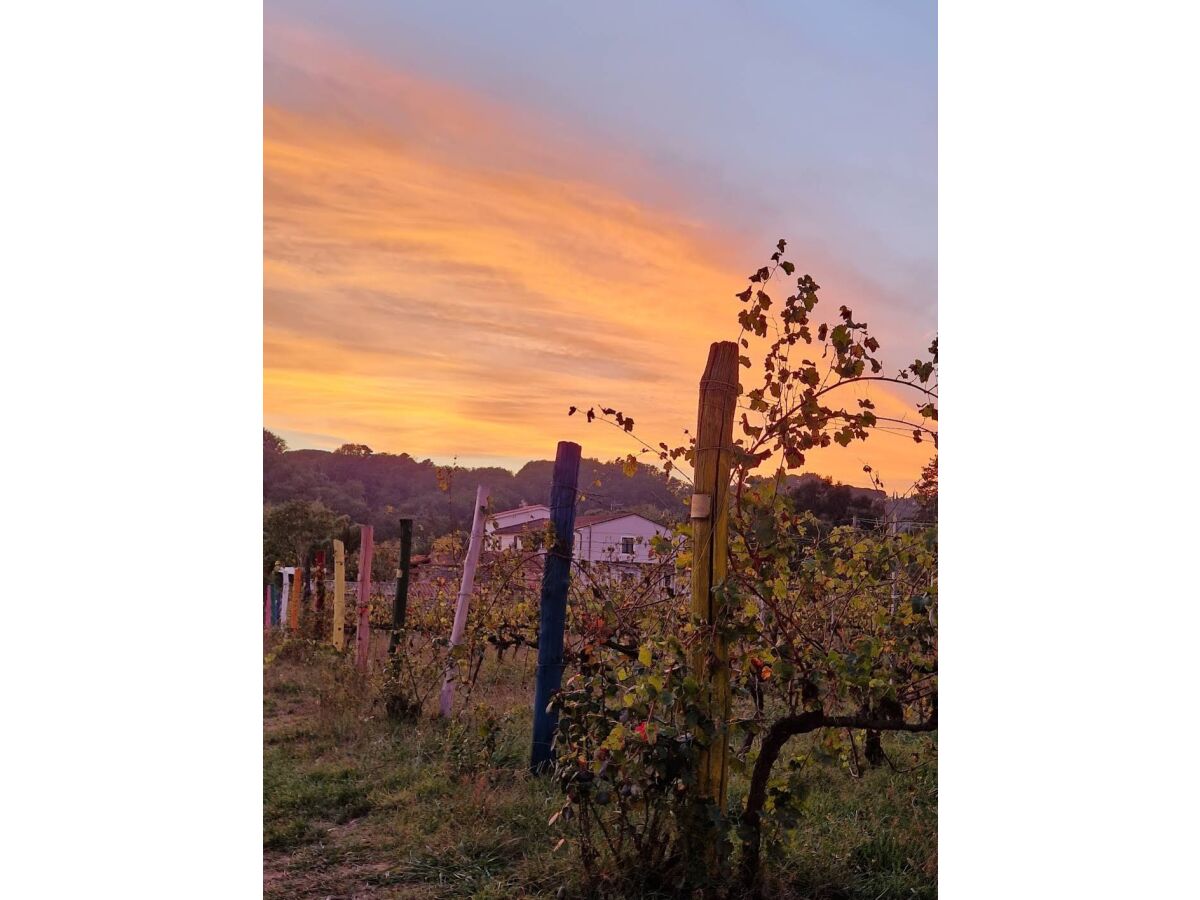 Holiday house The Wine House - Outdoor photo 5