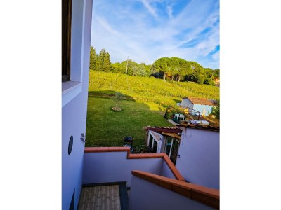 Holiday house The Wine House - Outdoor photo 8