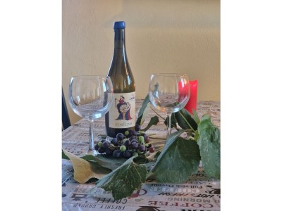 Holiday house The Wine House - Features photo 25