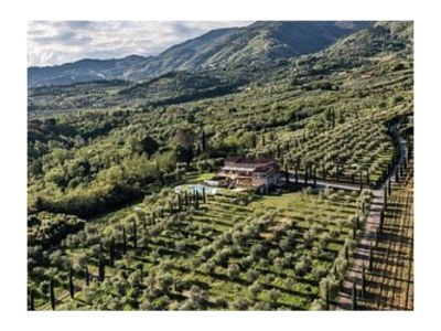 Holiday house The Wine House - Environment photo 33