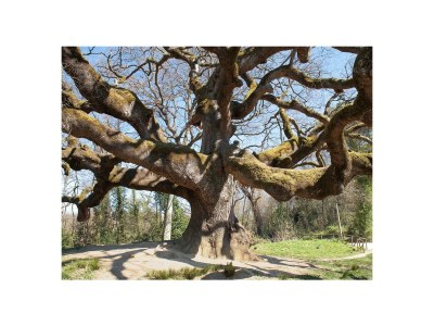 Holiday house The Wine House - Environment photo 36