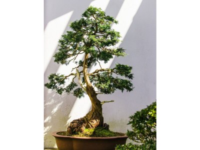 Holiday house The Wine House - Environment photo 40