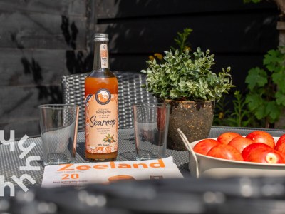 Holiday house Aagtekerke - ZE256 - Environment photo 16