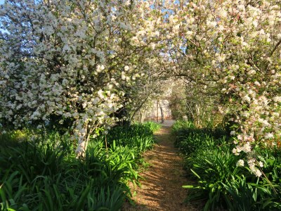 Cottage La Maritja - Outdoor photo 17