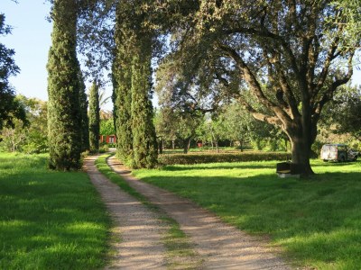 Cottage La Maritja - Outdoor photo 19