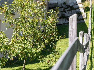 Apartment Wohnung in Kaprun nahe Skipisten - Outdoor photo 37