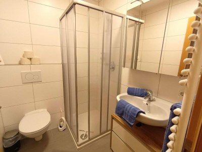 Apartment Apartment in Tyrol near Ski Slopes - Features photo 11