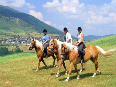 Apartment Apartment in Tyrol near Ski Slopes - Environment photo 22