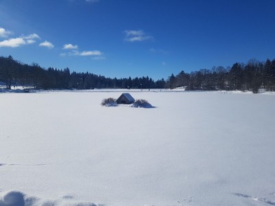 Holiday apartment Hexenzauber in Hahnenklee - Environment photo 16