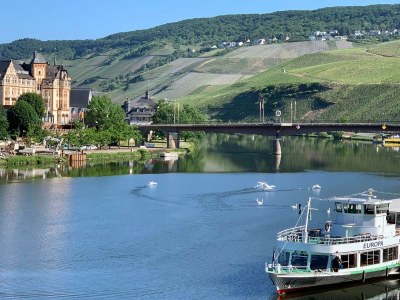 Holiday apartment "Am Bernkasteler Moselufer" - Outdoor photo 11