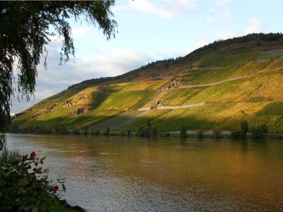 Holiday apartment "Am Bernkasteler Moselufer" - Environment photo 22