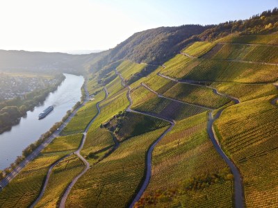 Holiday apartment "Am Bernkasteler Moselufer" - Environment photo 25