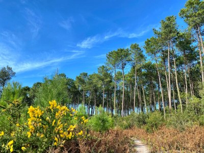 Holiday house Vieux-Boucau Atlantic coast - Environment photo 25