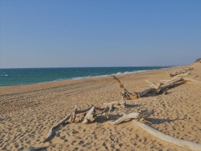 Holiday house Ferienhaus L13 - Environment photo 15