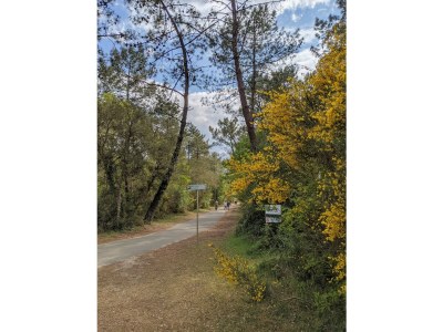 Holiday house Holiday Home L25 - Environment photo 30