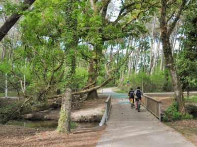 Holiday house Holiday home L29 - Environment photo 23