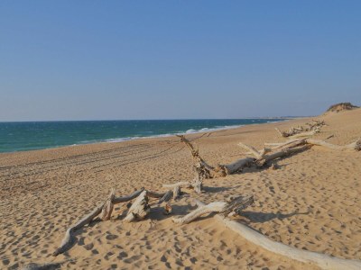 Holiday house Holiday Home L72 - Environment photo 29