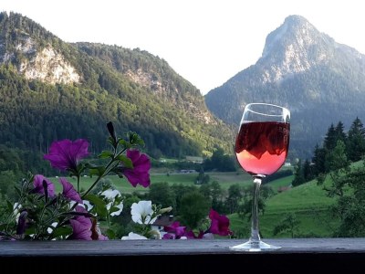 Apartment Appartement/Fewo, Dusche oder Bad, 2 Schlafräume in Thiersee - Apartment