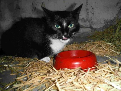 Apartment Appartement/Fewo, Dusche oder Bad, 2 Schlafräume - Outdoor photo 17