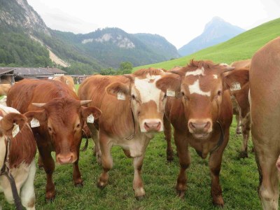 Apartment Appartement/Fewo, Dusche oder Bad, 2 Schlafräume - Outdoor photo 18