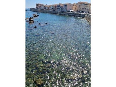 Holiday apartment Salve Ortigia - Outdoor photo 9