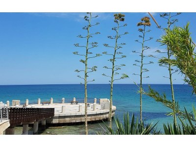 Holiday apartment Salve Ortigia - Environment photo 19