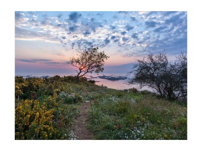 Holiday house Located between Paimpol and BrÃ©hat, by the sea - Environment photo 21