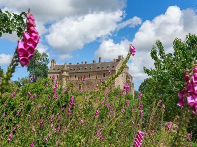 Holiday house Located between Paimpol and BrÃ©hat, by the sea - Environment photo 24