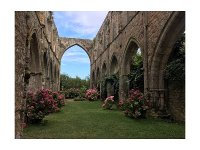 Holiday house Located between Paimpol and BrÃ©hat, by the sea - Environment photo 26