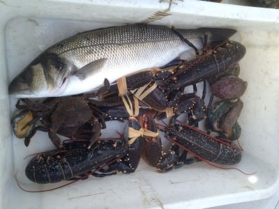 Holiday house Located between Paimpol and BrÃ©hat, by the sea - Environment photo 27