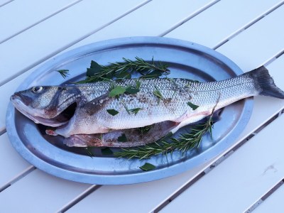 Holiday house Located between Paimpol and BrÃ©hat, by the sea - Environment photo 28