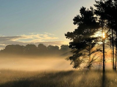 Holiday house Chalet in Voorthuizen bei Veluwe - Environment photo 34