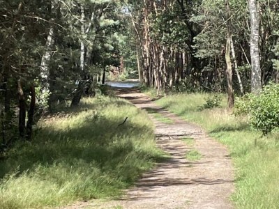 Holiday house Beruhigendes Refugium in der Veluwe - Environment photo 24