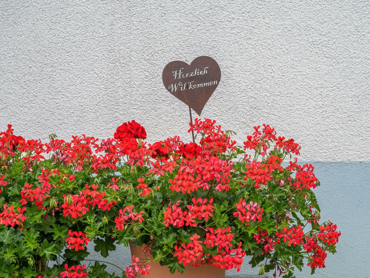 Apartment Wohnung Vallüla - Outdoor photo 5