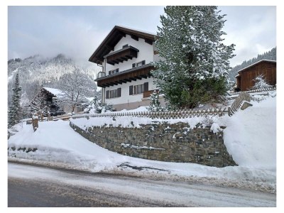 Apartment Ferienwohnung Herlinde - Outdoor photo 2