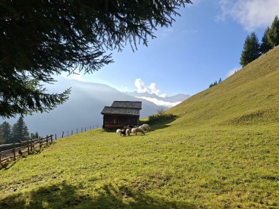 Apartment Ferienwohnung Herlinde - Outdoor photo 13
